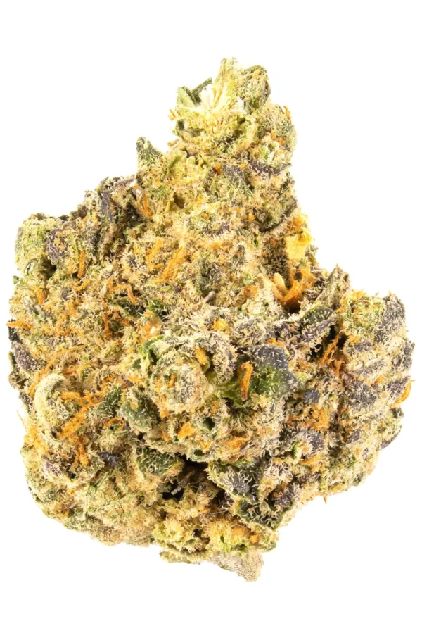 Gelatti Marijuana strain